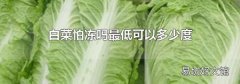 白菜怕冻吗最低可以多少度