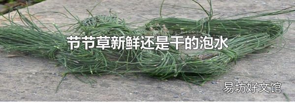 節(jié)節(jié)草新鮮還是干的泡水