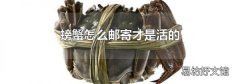 螃蟹怎么邮寄才是活的