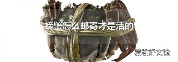 螃蟹怎么邮寄才是活的