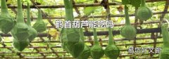 鹤首葫芦能吃吗