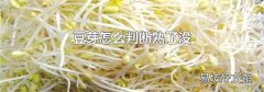 豆芽怎么判断熟了没