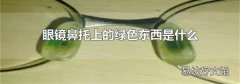 眼镜鼻托上的绿色东西是什么