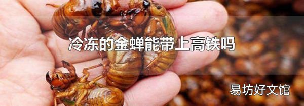 冷冻的金蝉能带上高铁吗