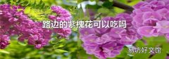 路边的紫槐花可以吃吗