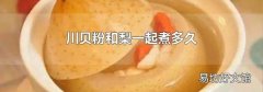 川贝粉和梨一起煮多久
