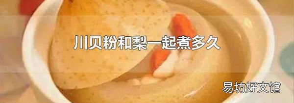 川贝粉和梨一起煮多久