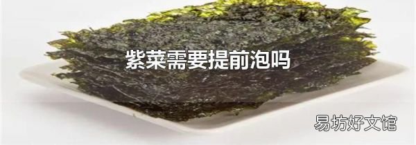 紫菜需要提前泡吗