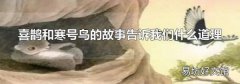 喜鹊和寒号鸟的故事告诉我们什么道理