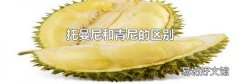 托曼尼和青尼的区别