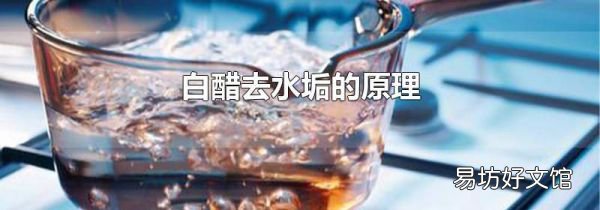 白醋去水垢的原理