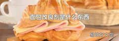 面包改良剂是什么东西