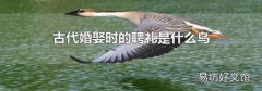 古代婚娶时的聘礼是什么鸟