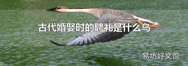 古代婚娶时的聘礼是什么鸟