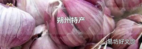 朔州特产