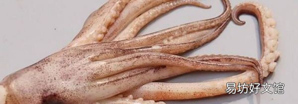 魷魚須上的小顆粒能吃嗎