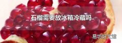 石榴需要放冰箱冷藏吗