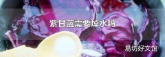 紫甘蓝需要焯水吗