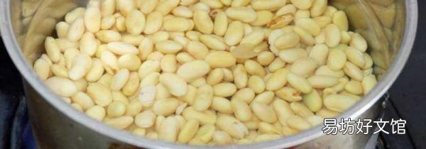 黃豆水澆花稀釋多少倍
