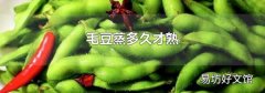 毛豆蒸多久才熟