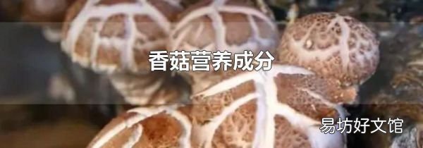 香菇营养成分