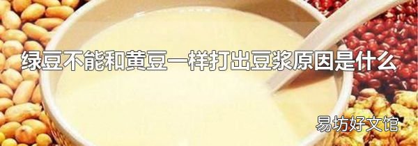绿豆不能和黄豆一样打出豆浆原因是什么
