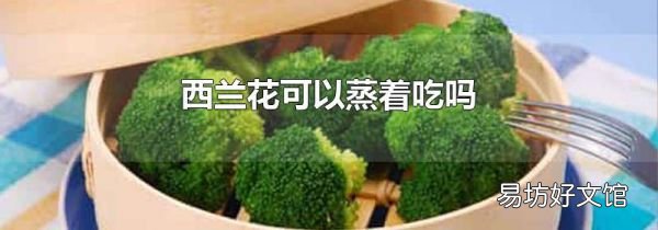 西兰花可以蒸着吃吗