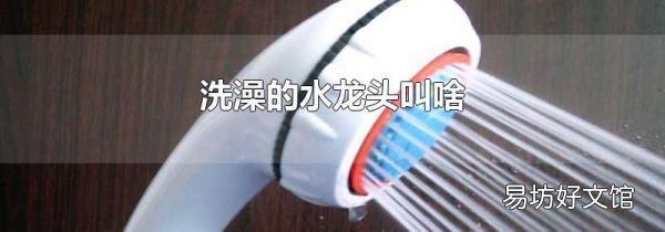 洗澡的水龍頭叫啥