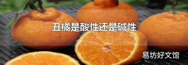 丑橘是酸性还是碱性