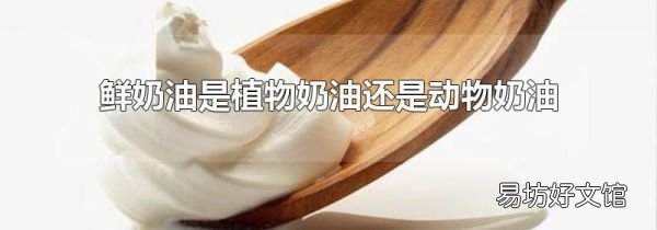 鮮奶油是植物奶油還是動物奶油
