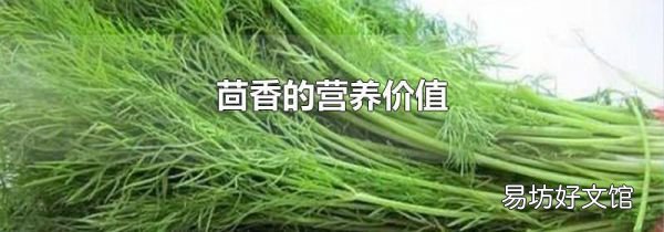 茴香的营养价值