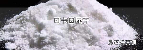 可卡因属于