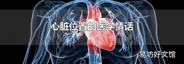 心臟位置的醫(yī)學(xué)情話