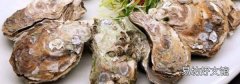 生蚝死了会自动开口吗
