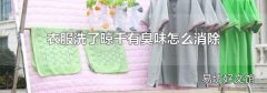 衣服洗了晾干有臭味怎么消除
