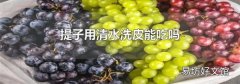 提子用清水洗皮能吃吗