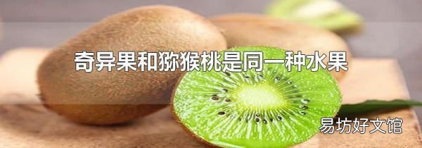 奇異果和獼猴桃是同一種水果嗎