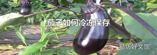 茄子如何冷凍保存