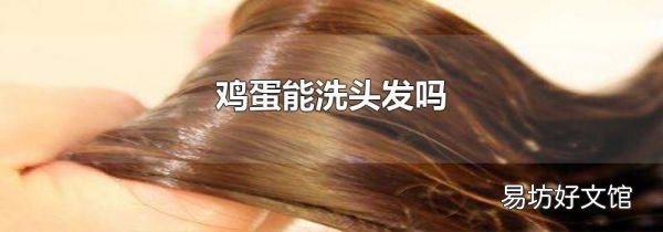 鸡蛋能洗头发吗