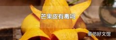 芒果皮有毒吗