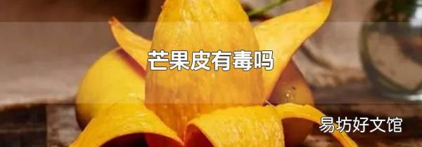 芒果皮有毒吗