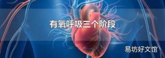 有氧呼吸三个阶段