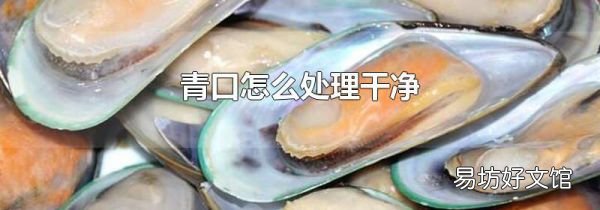 青口怎么处理干净