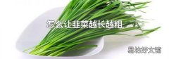 怎么让韭菜越长越粗