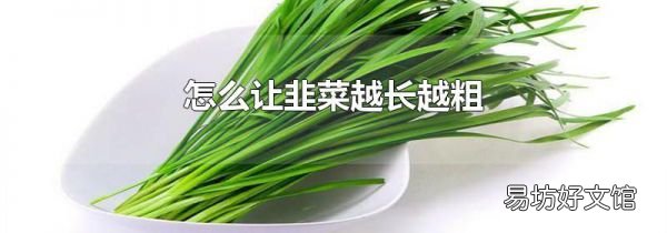 怎么让韭菜越长越粗