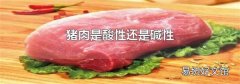 猪肉是酸性还是碱性