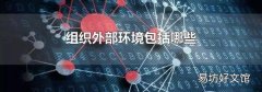 组织外部环境包括哪些