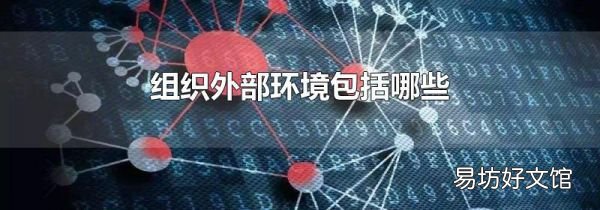 组织外部环境包括哪些