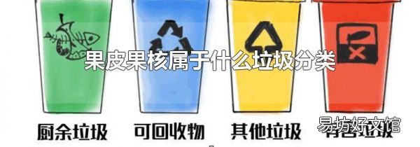 果皮果核属于什么垃圾分类