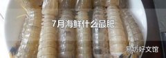 7月海鲜什么最肥